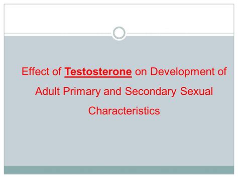 Male Reproductive Physiology Guyton And Hall Chapter Ppt Download