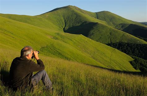 Southern Carpathians | Rewilding Europe