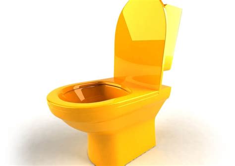 Toilet Seat Colour Atelier Yuwaciaojp