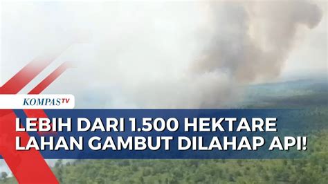 Tak Tanggung Tanggung Hektare Hutan Dan Lahan Gambut Di Kubu