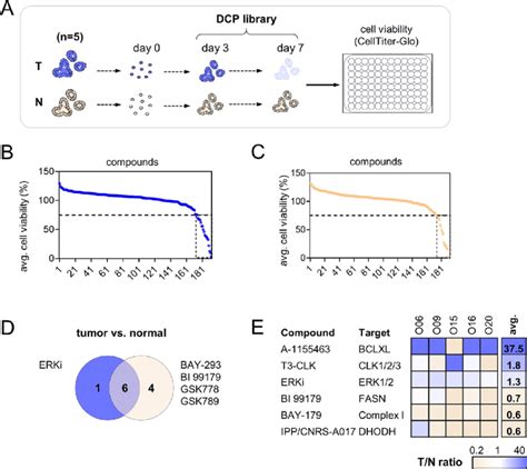 Chemical Probe Screen Reveals Tumor And Normal Specific Hits A Download Scientific Diagram