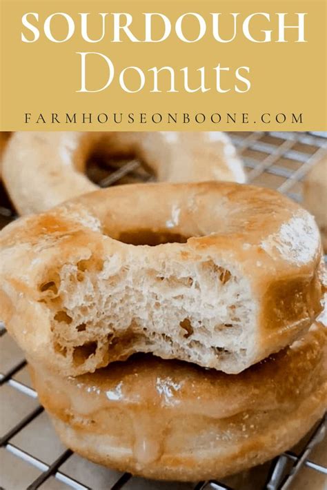 Baked Sourdough Doughnuts With Cinnamon Sugar Artofit