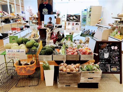 朝採れ野菜で作った「ダシ」と「ゴーヤーチャンプルー」 素敵に一人旅