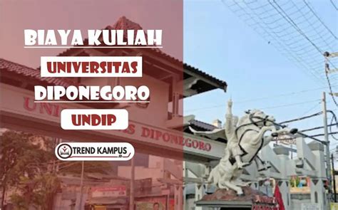 Biaya Kuliah Undip Ta 20242025 Universitas Diponegoro Data Ptn