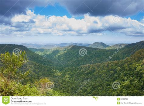 Parque Nacional De Springbrook Australia Foto De Archivo Imagen De