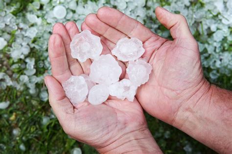 Crop Hail Insurance Thank You — Farm Credit Of Southern Colorado