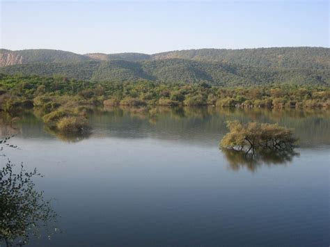 Sariska National Park Sariska Wildlife Sanctuary Alwar Photos And Timings