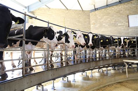 Apoyan A Productores De Leche Agro Revista Industrial Del Campo