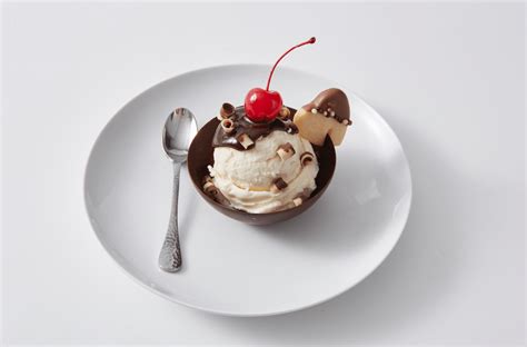 Ice Cream Segment Tools Inclusions Barry Callebaut