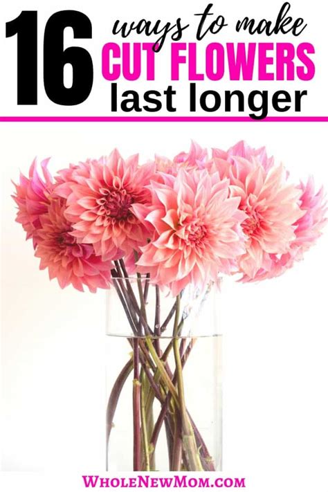 How To Make Flowers Last Longer Plus The Best Method Of All