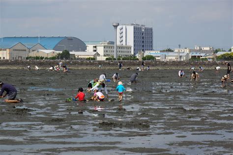 潮干狩り／木更津海岸｜イベント｜千葉県公式観光サイト ちば観光ナビ