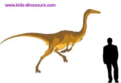 Gallimimus