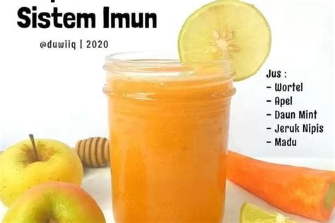 5 Bahan Alamai Untuk Memperkuat Sistem Imun Tubuh Resep Ramuan Jus