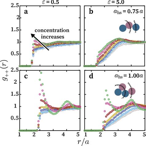 Averaged Self Correlation Function For Equally Charged Species In Each