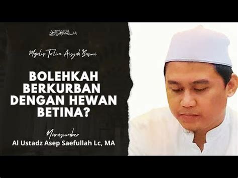 Berkurban Dengan Hewan Betina Apakah Boleh Ustadz Asep Saefullah Lc