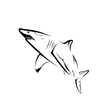 vector image of a shark character 12067599 Vector Art at Vecteezy