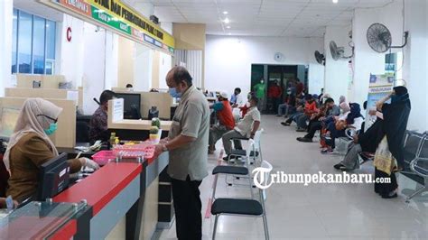 Kabar Gembira Pemprov Riau Kembali Berlakukan Pemutihan Denda Pajak