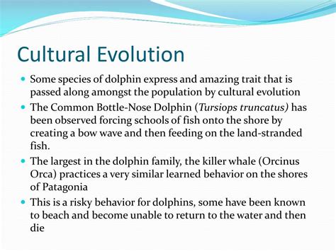 PPT - Genetic Evolution vs. Cultural Evolution PowerPoint Presentation ...