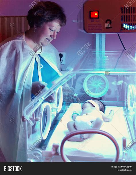 Newborn Baby Incubator Image Photo Free Trial Bigstock