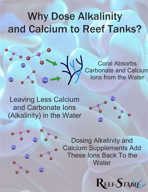 How To Start Dosing Calcium Alkalinity And Magnesium In Reef Tanks