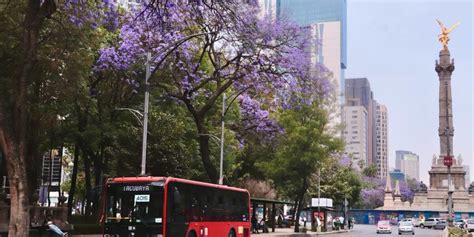 Chilango Metrob S Ampl A Servicio De Apoyo A La L Nea Del Metro