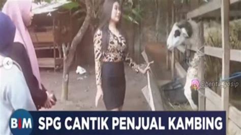 Sosok Adi Karnadi Penjual Kambing Di Bantul Viral Pakai Jasa Spg