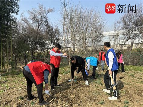 苏州太平街道莲港村：“党建红”引领“生态绿”，讲好美丽乡村“春天的故事”传播活动绿色