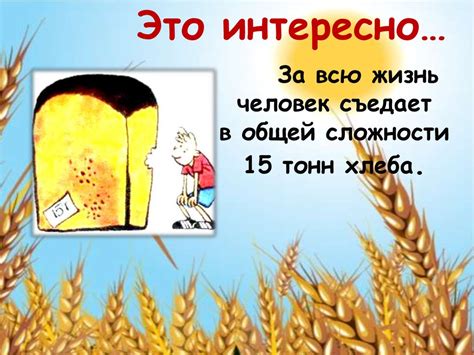 Хлеб - всему голова - презентация онлайн