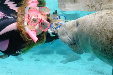 This Was The Best Day Ever Three Sisters Springs Crystal River Fl