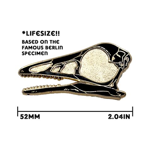 Lifesize Archaeopteryx Dinosaur Fossil Skull Hard Enamel Pin Etsy