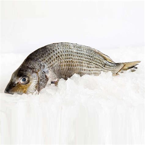 Fresh Yellowfin Bream Scaled And Gutted 600g Umall Australias