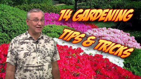 [VIDEO] 14 GREAT GARDENING TIPS AND TRICKS - gardenpicsandtips.com