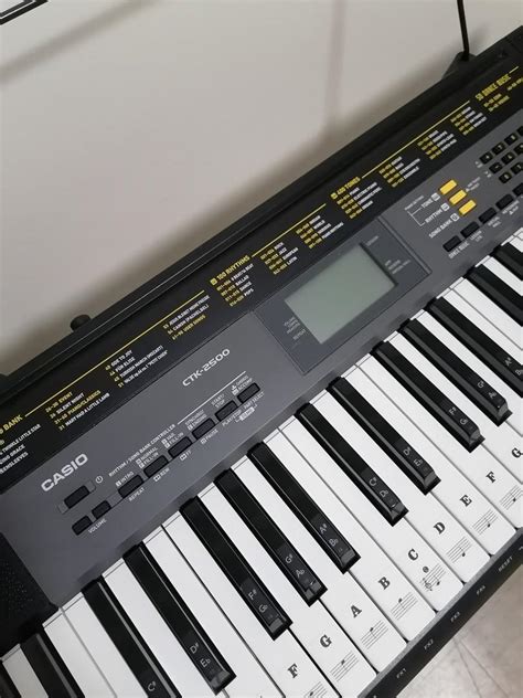 Casio Ctk 2500 Portable Keyboard Black Atelier Yuwaciaojp