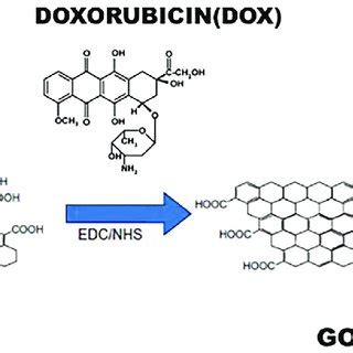 Synthesis Of Functionalized GO With DOX I The Presence Of EDC NHS 10