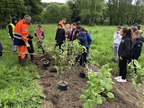 À Guingamp les jeunes élus du conseil municipal des enfants plantent