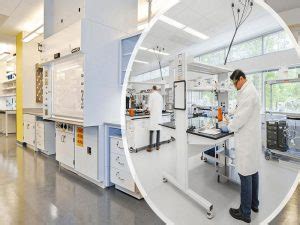 Polarization of Light Examples in Daily Life – StudiousGuy 