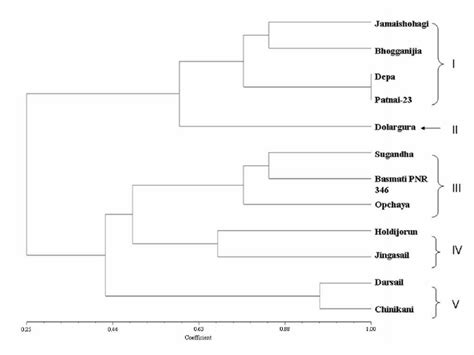 An Upgma Cluster Dendrogram Showing The Genetic Relationships Among 12