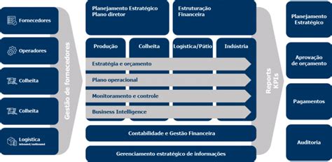 Áreas de Atuação Innovatech Gestão