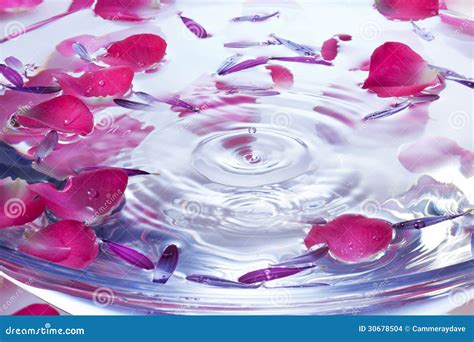 Spa Flowers Petals Water Drop Background Stock Images Image 30678504