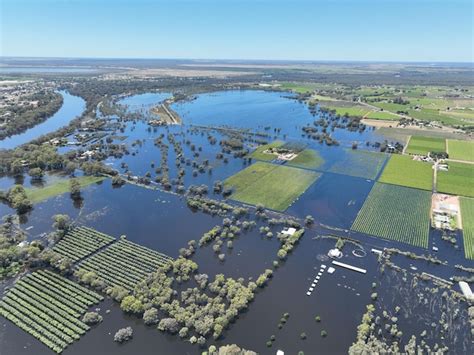 Premium Photo Victoria Mildura Murray River Flood In 2022