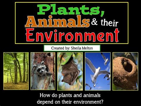 Plants Animals And Their Environment Powerpoint Interdependence Of