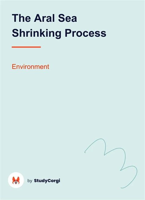 The Aral Sea Shrinking Process | Free Essay Example