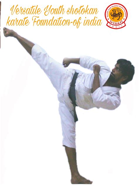 Versatile Youth Shotokan Foundation Karate Academy In Thane India