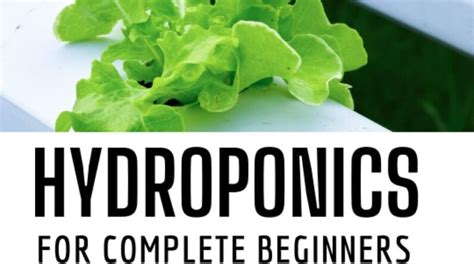 Hydroponics For Complete Beginners: The Beginner's Guide to Hydroponics ...