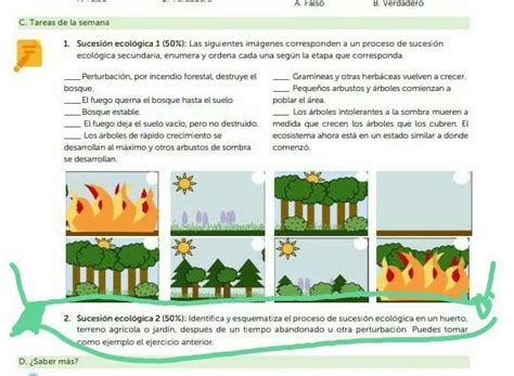 Sucesi N Ecol Gica Identifica Y Esquimatiza El Proceso De