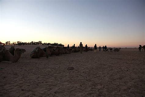 Fondo Mañana En El Desierto Del Sahara Safari Sahara Calor Foto E