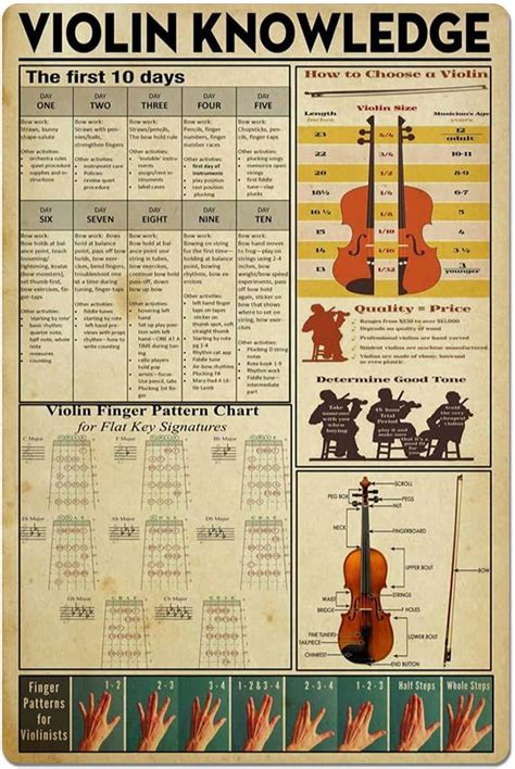 Amazon Violin Knowledge Metal Tin Sign How To Choose A Violin