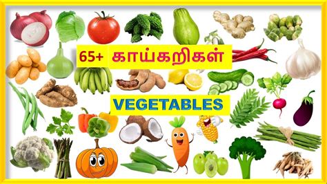 காய் காய்கறிகள்vegetables In Tamilvegetables Name In English And Tamil