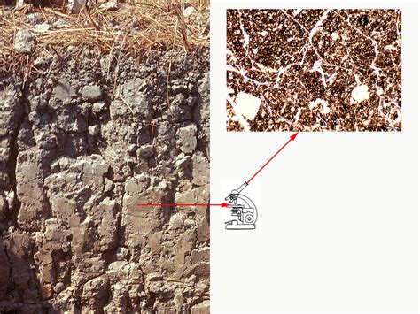 Edafologia Lecci N Estructura Del Suelo