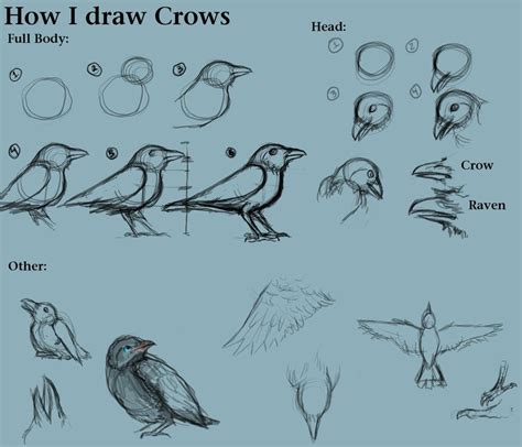 How I Draw Crows By CreatTheCrow On DeviantART Crows Drawing Bird